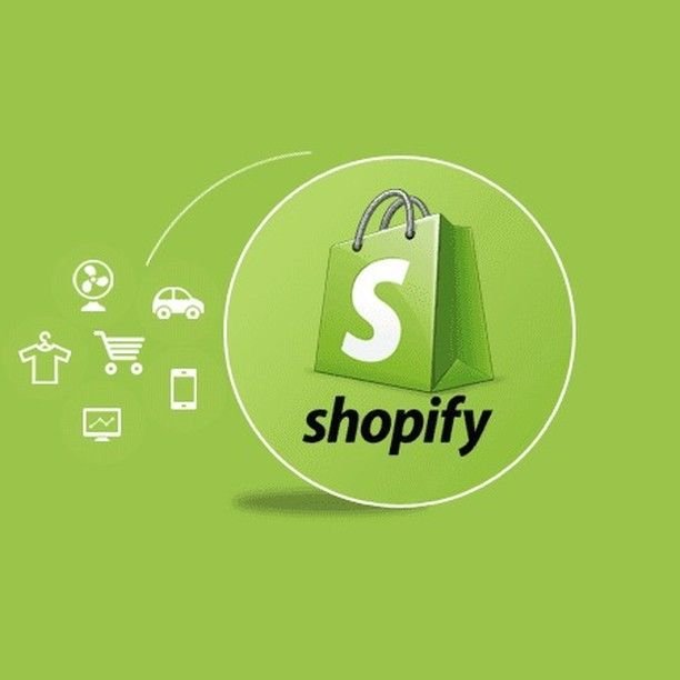 Shopify AI ecommerce store setup example